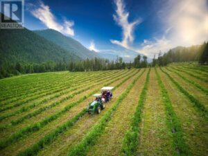1238 Creighton Valley Road, Lumby