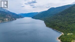 Lower Arrow Lake Other, Castlegar