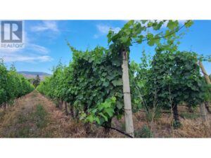 4028 107TH Street, Osoyoos