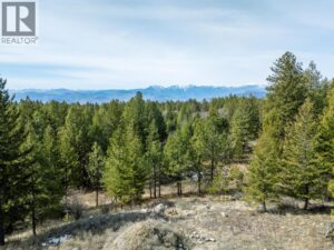 490 Wapiti Way, Osoyoos