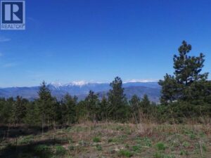 290 MULE DEER Drive, Osoyoos