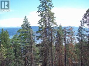 58 Homer Crescent, Vernon
