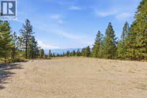 12 MULE DEER Point, Osoyoos