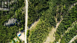 9280 Paradise Road, Joe Rich